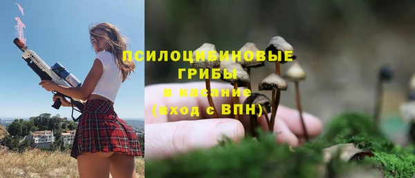 тгк Новозыбков