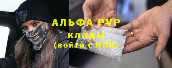 тгк Новозыбков