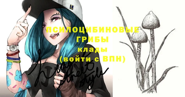 тгк Новозыбков