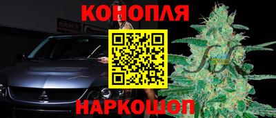 ПСИЛОЦИБИНОВЫЕ ГРИБЫ Канаш