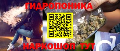 мдпв Камышлов