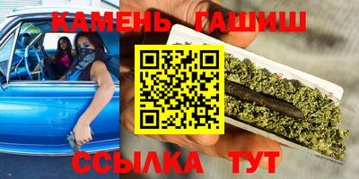 мдпв Камышлов