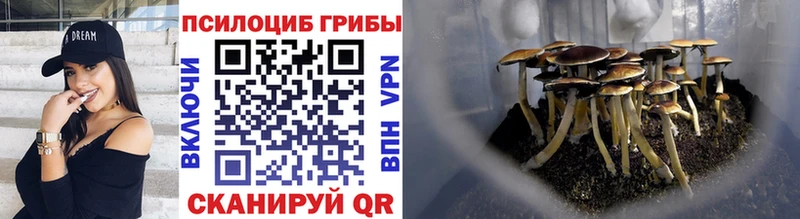 Галлюциногенные грибы Cubensis Партизанск