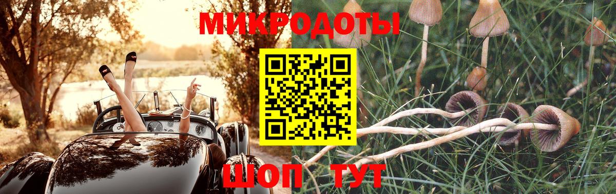 Галлюциногенные грибы GOLDEN TEACHER Партизанск