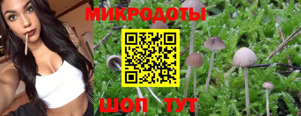 Партизанск  Галлюциногенные грибы Psilocybine cubensis  Вход с VPN 
